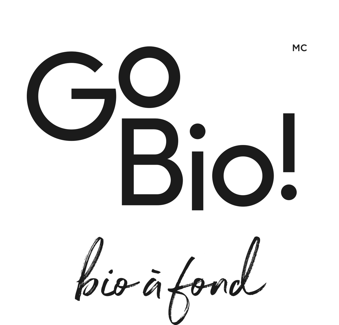 Cubes de bouillon biologique salés GoBio! Organics